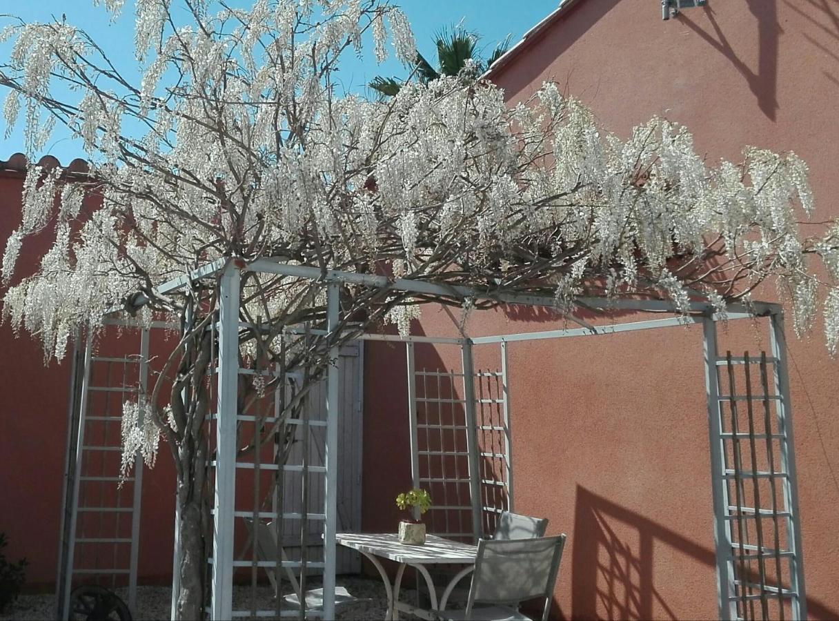 Gite Mas Uranie Le Soler Exterior photo